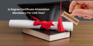 Is Degree Certificate Attestation Mandatory For UAE Visa